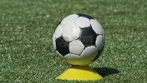 万博体育Manbetx平台 资讯 140334 mjj